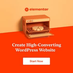 Website Design | Elementor Pro | Load Toad Networks - High Converting Website Design Made Easy